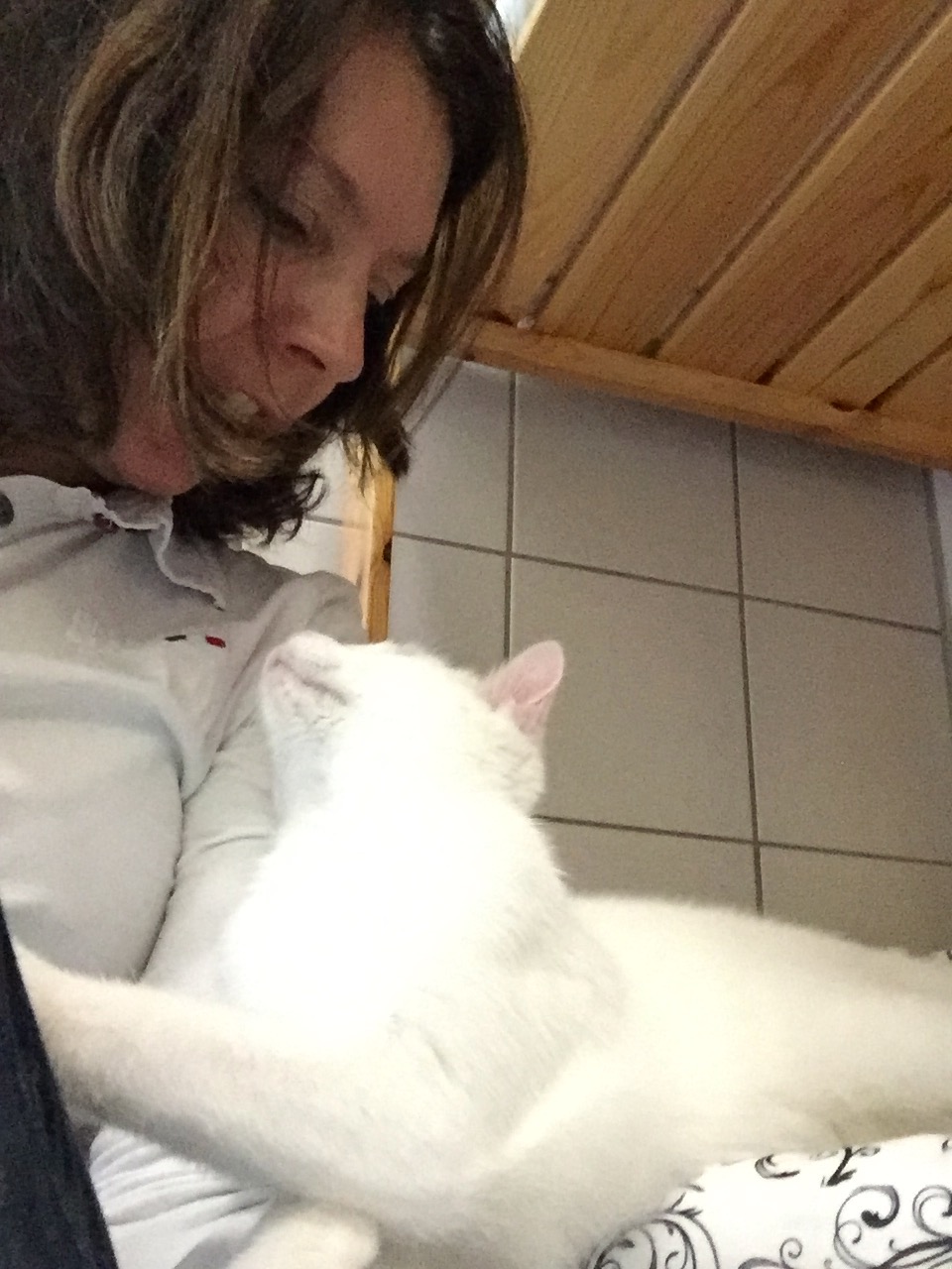 {de}Arbeiten im Tierheim{}{nl}Werken in het dierenasiel{}{en}Working at the animal shelter
