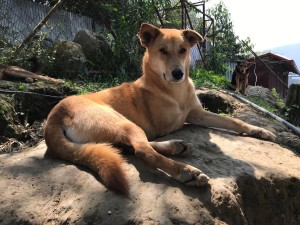 Nunca at Sneha Care in Nepal